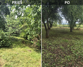 Prieš ir po: sodo tvarkymas