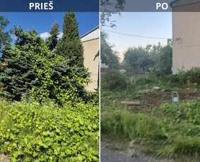Prieš ir po: apleisto sklypo tvarkymas