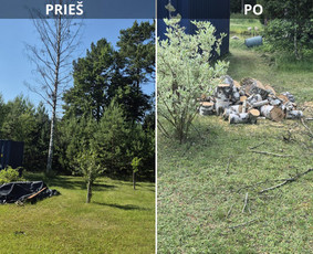 Prieš ir po: teritorijos sutvarkymas ir malkų sukrovimas